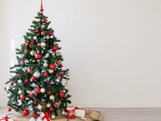 The Perfect UK Christmas Trees for a Festive and Joyful Home