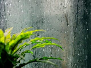 Rainy Afternoon Routines That Keep Boredom Away