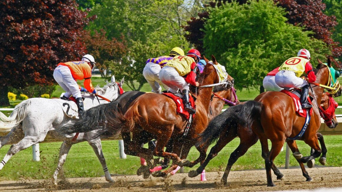 Biographies of Breeders’ Cup 2026 Trainers